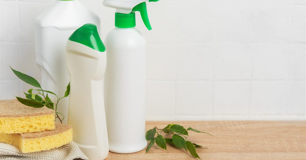 Cleaning bottles arranged with plant leaves and sponges